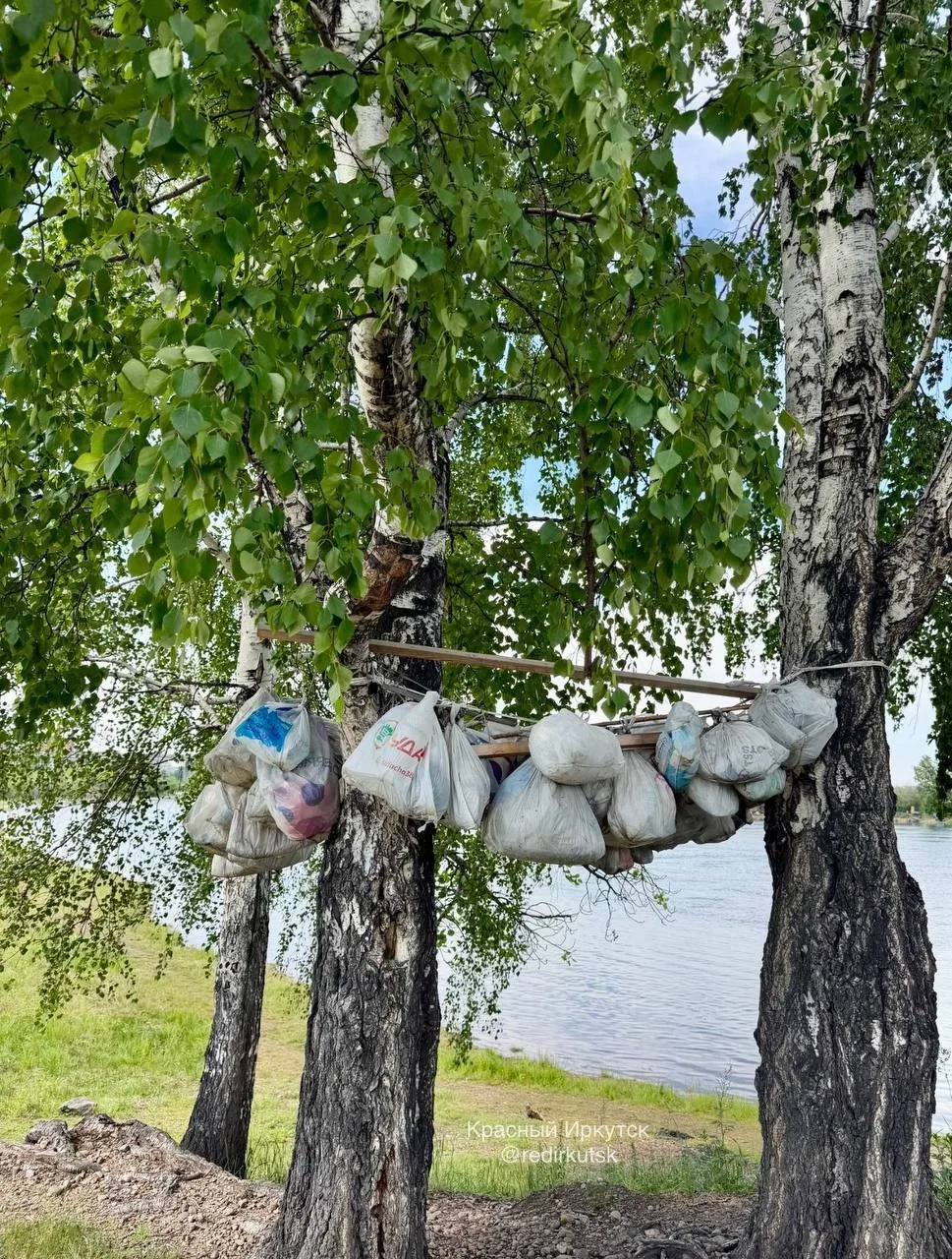 Мусорная аллея расцвела в Иркутске. 
 
На берегу Ангары рядом с парком «Поляна» жители обнаружили па