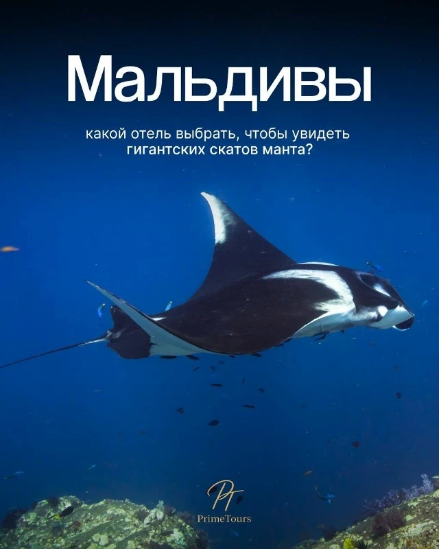 Представьте…