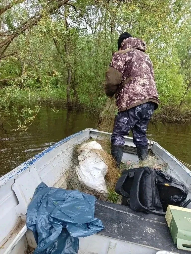 О проведении зачистки акватории Цимлянского водохранилища
