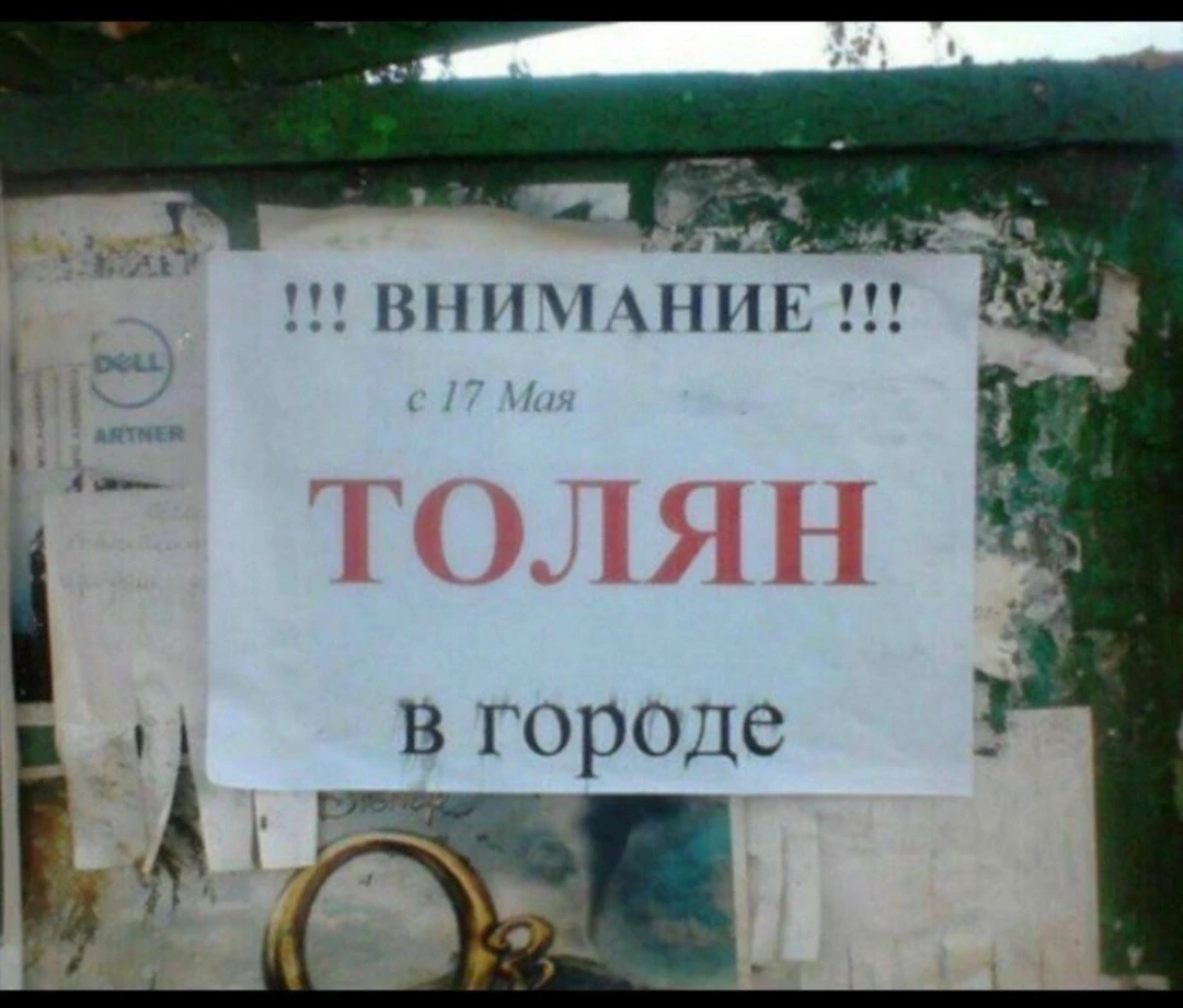 📋 "ДОСКА НАСТРОЕНИЯ" В ШОУ "ПУШ" 😂