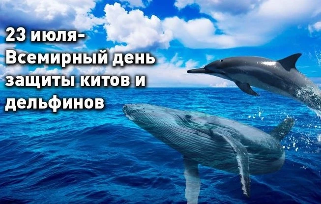 "История дельфина": трогательный кинопоказ в Веселовской библиотеке 🐬

📽Сегодня мы отправились в н