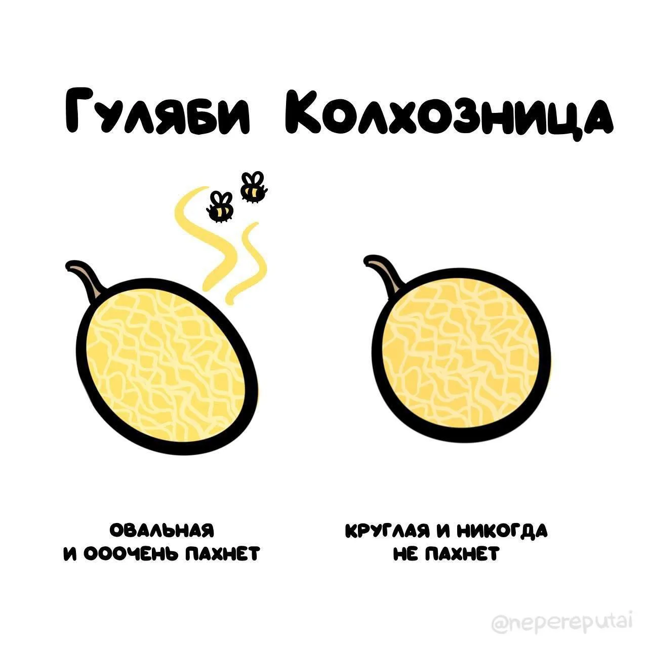 Дабы выбрать верный!