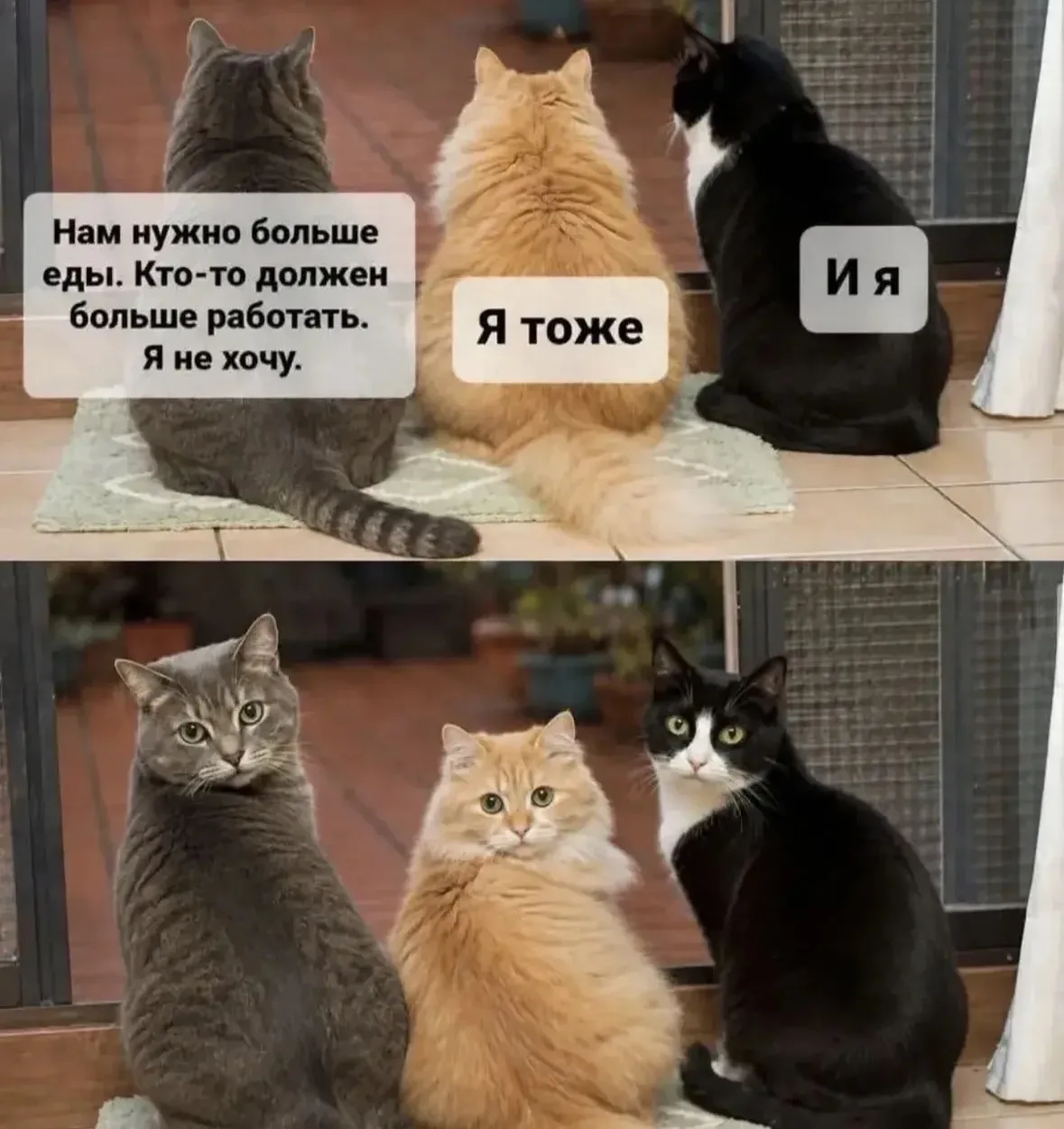 Не смотрите на меня так, я тоже не хочу 

🍷Наш бот знакомств - max/ЗНАКОМСТВА