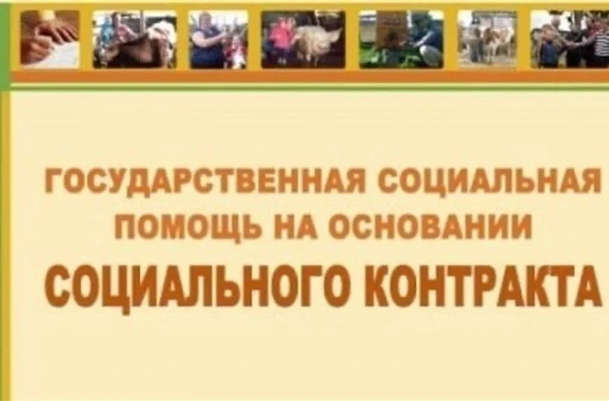 Государственная социальная помощь на основании социального контакта - это один из механ...