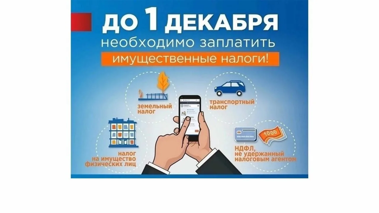 📬 Управление Федеральной налоговой службы начало рассылку единых налоговых уведомлений...