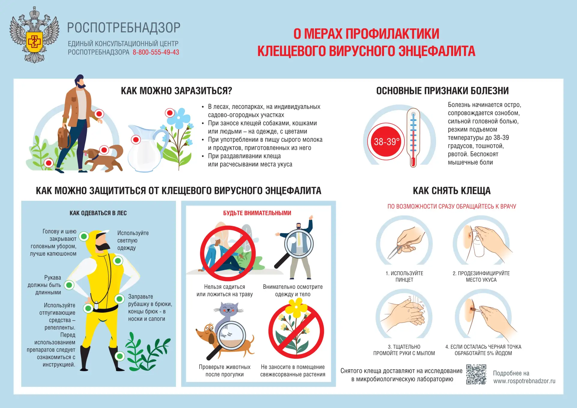 🌲 Клещевой энцефалит: как гулять в лесу и не бояться? 🕷️