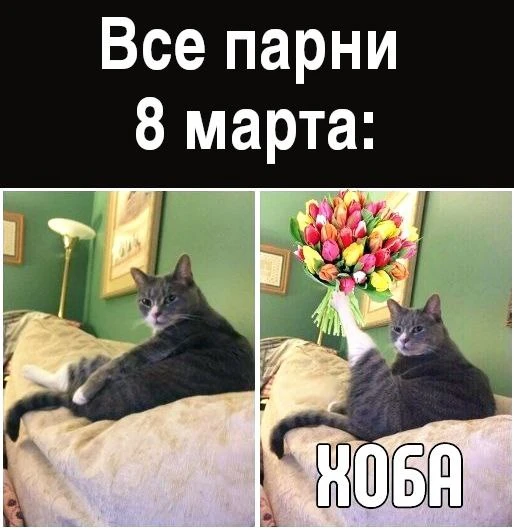 Девчонки, с 8 марта 🌷 Пусть будет побольше любви, кайфа, цветов, вкусной еды и нормального настроени