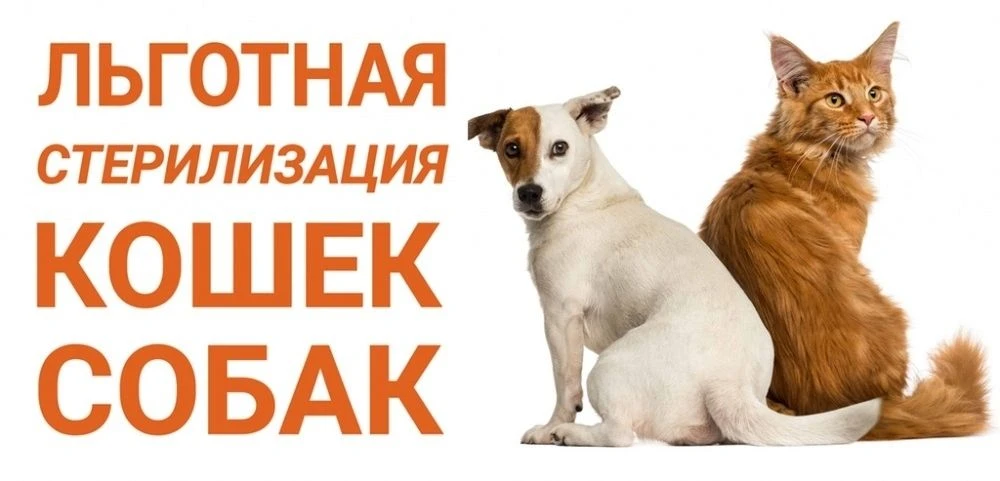 Уважаемые жители Мечетлинского района!