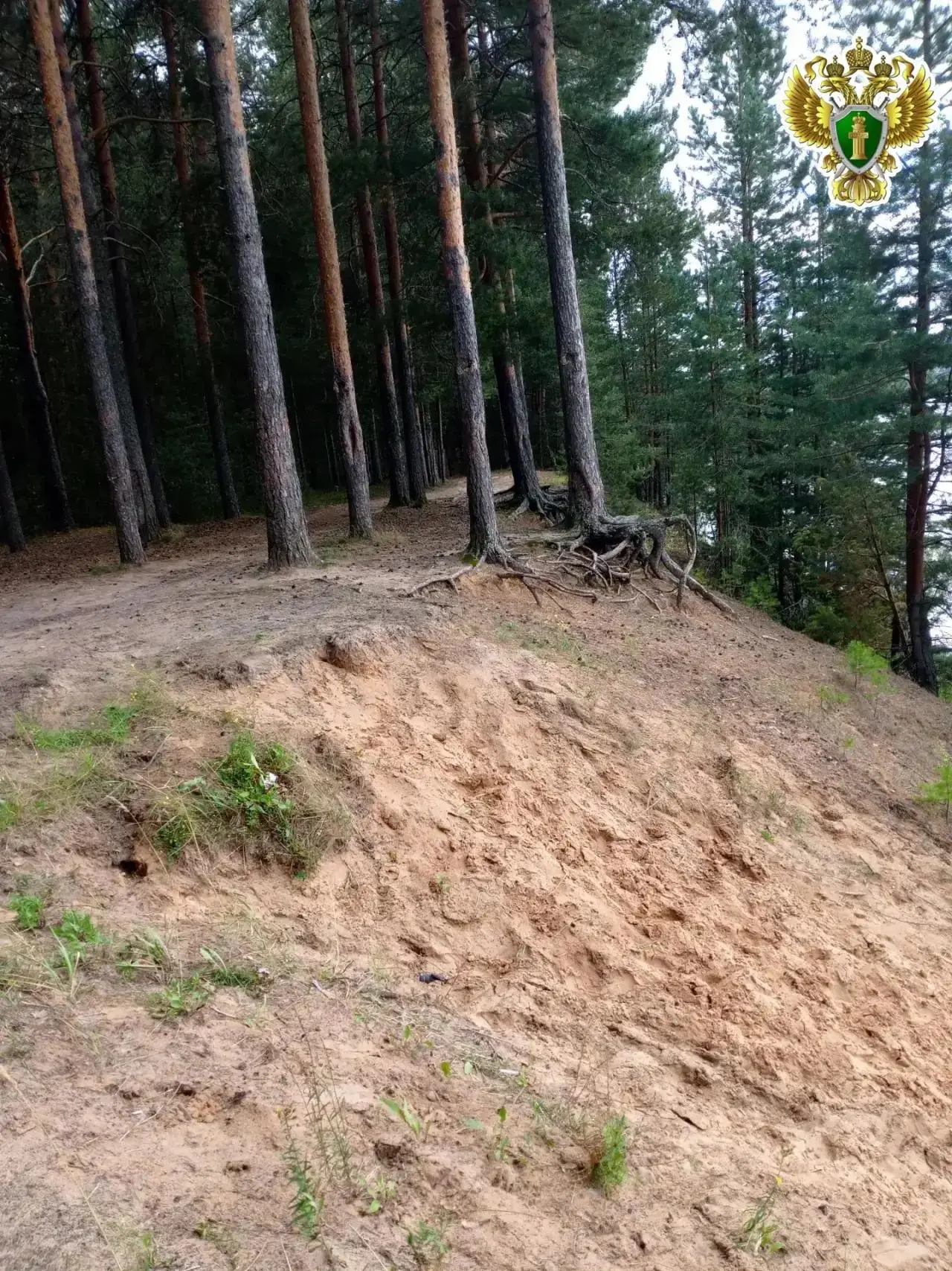 ⚡Прокурор Вельского района утвердил обвинительное заключение по уголовному делу о гибел...