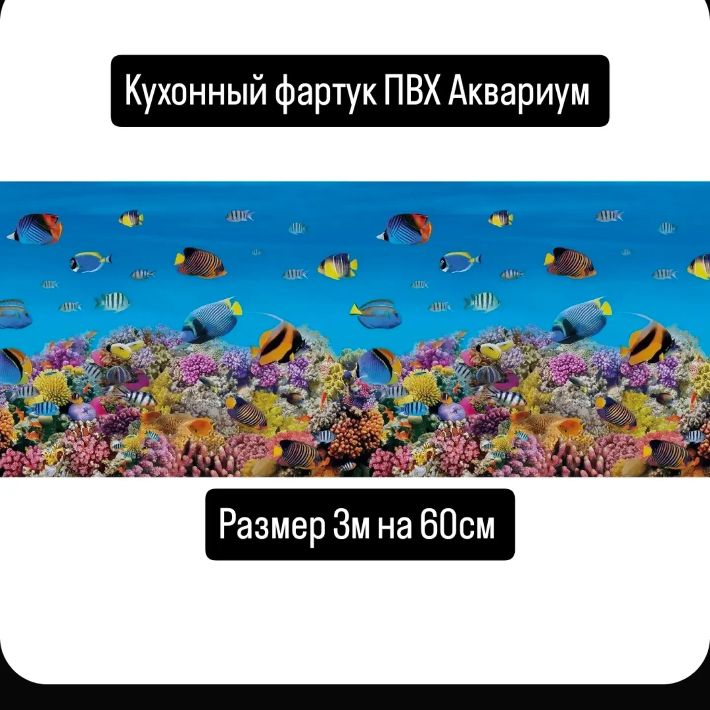 Акция!