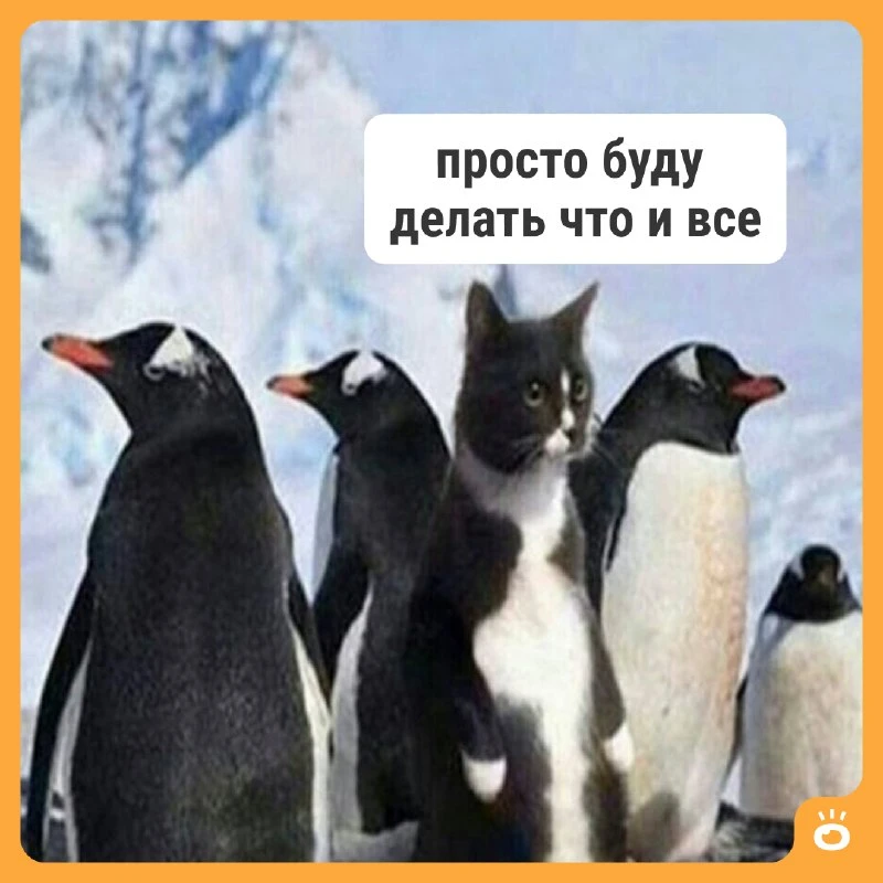 ПОВ: Когда наврал в резюме, но тебя взяли на работу
