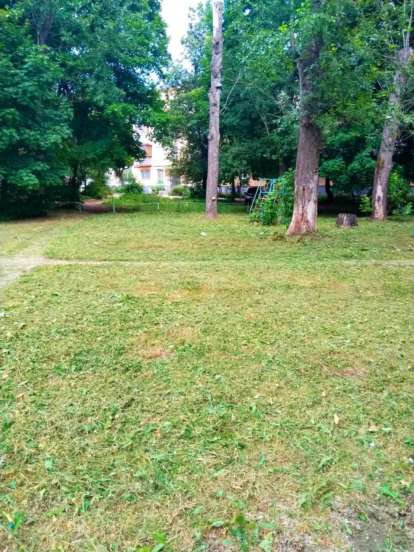 Продолжаем покос травы 🌿
📍ул. Гагарина, 73, 81к1
📍ул. Черновицкая, 6, 4
