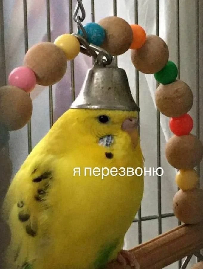 Примерно я, когда закончила рабочий день в 20:44 🔔