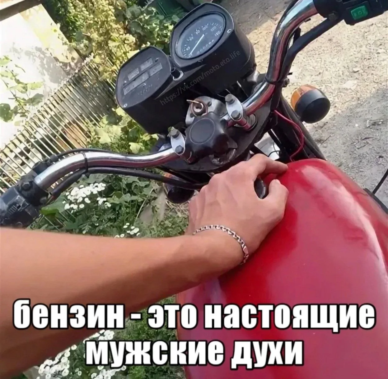 Согласны? 😁
