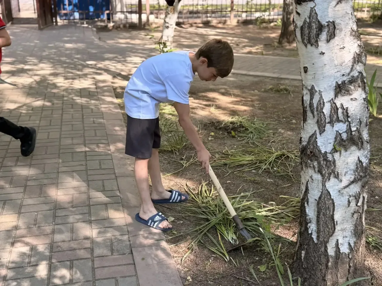 🗓 9 июня на пришкольной территории лицея прошла трудовая практика. Учащиеся 5Б, 7Г и 8...