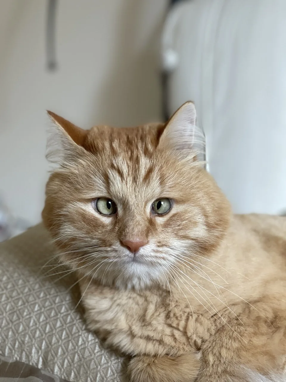 Лето выходной 😻