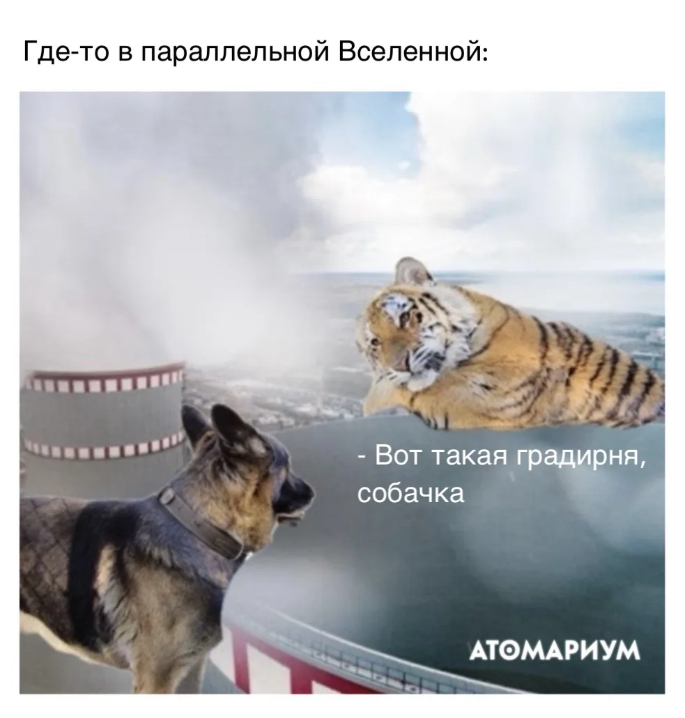 Если ты всё ещё думаешь, как настроиться на учебную/рабочую неделю – лови подборку атом...