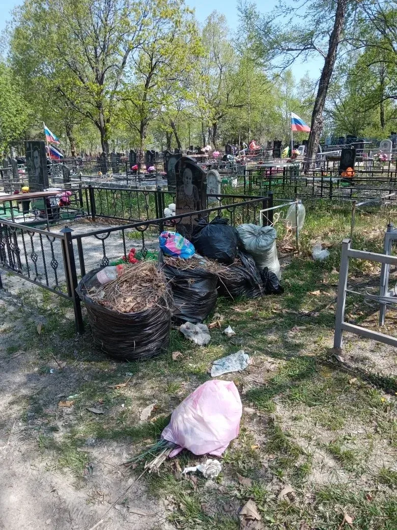 На кладбище по Курской: ✔️ убрали мусор; ✔️ спилили аварийные деревья, которые могли представлять оп