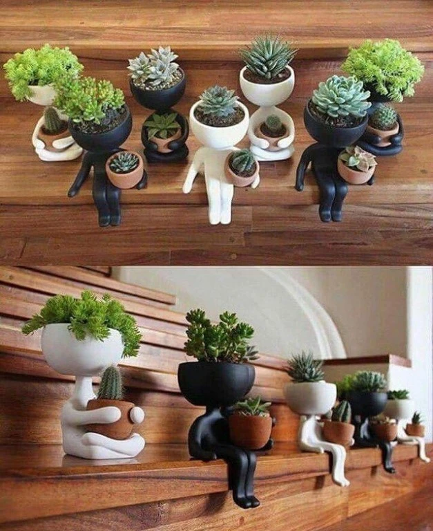 Креативные цветочные решения 🌿