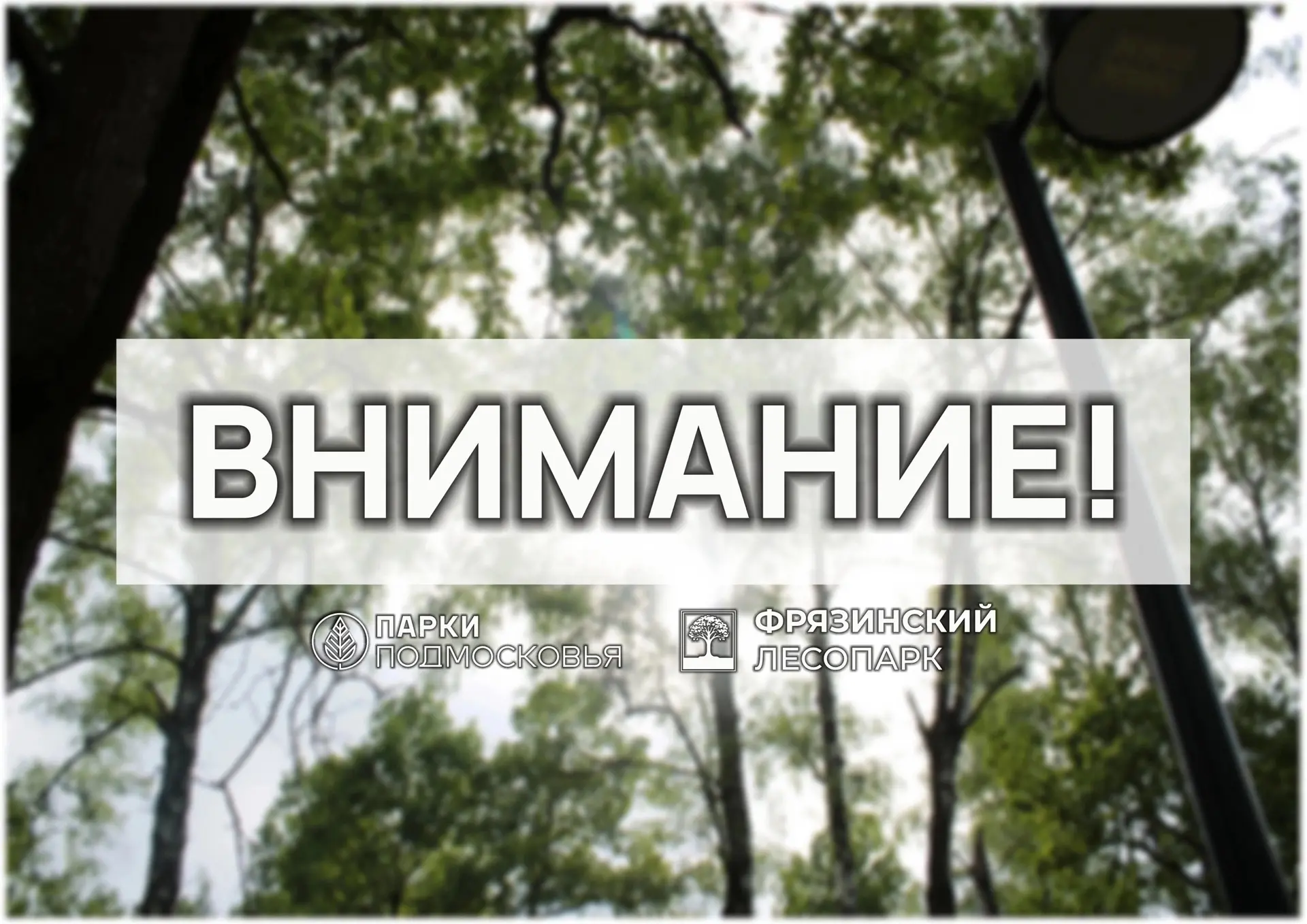 ⚠️ Внимание, посетители Фрязинского лесопарка! ⚠️
