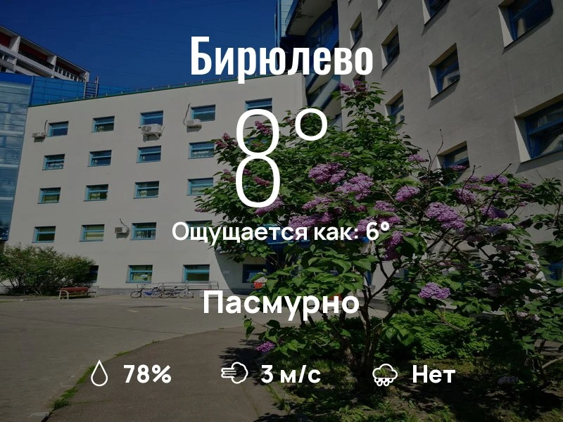 Что с погодой в Бирюлево?