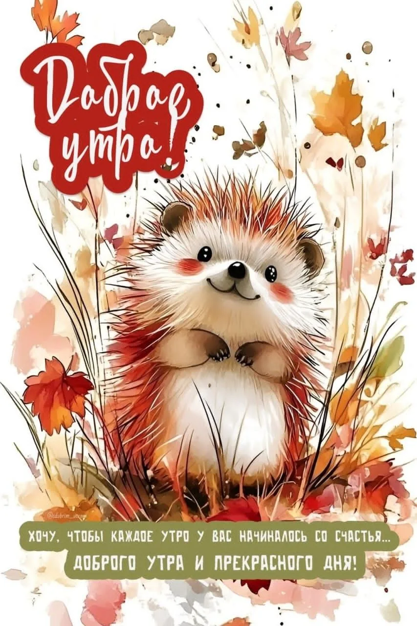 С добрым утром, Тюмень!❤️‍🔥