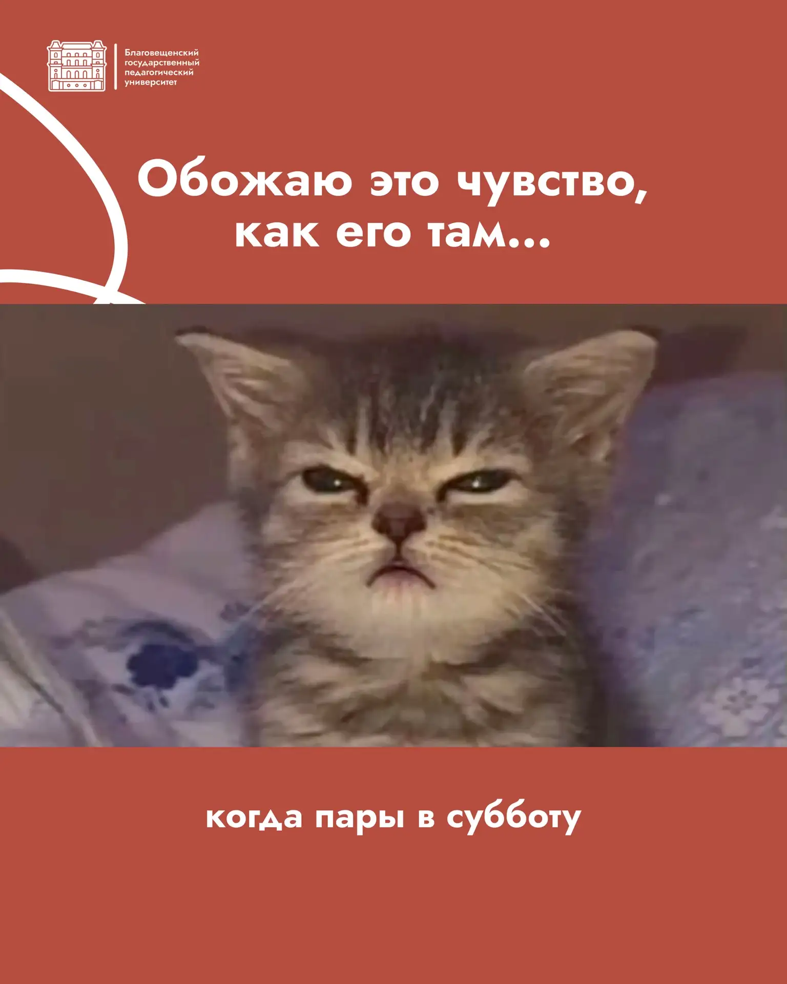 Есть вещи, которые невозможно объяснить человеку, который не учится в университете.