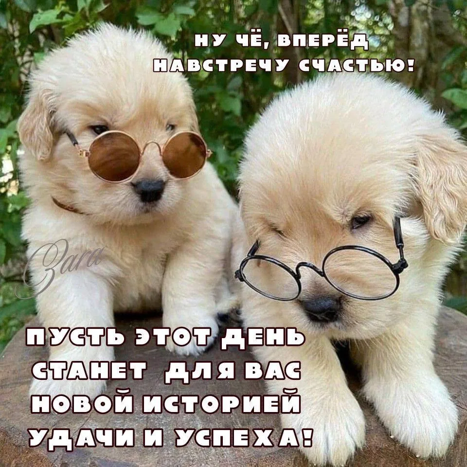 Галерея Открыток