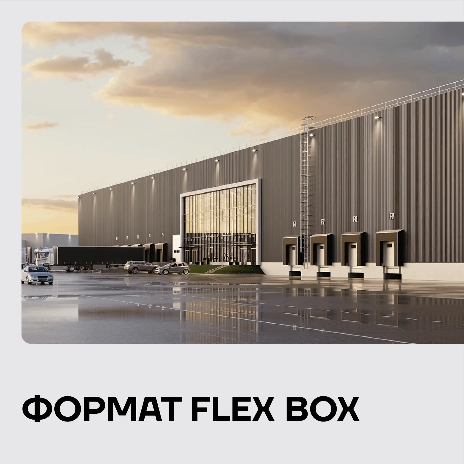 ФОРМАТ ФЛЕКС БОКС