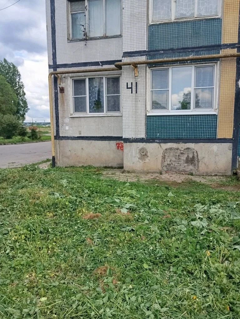Покос в Торфяном