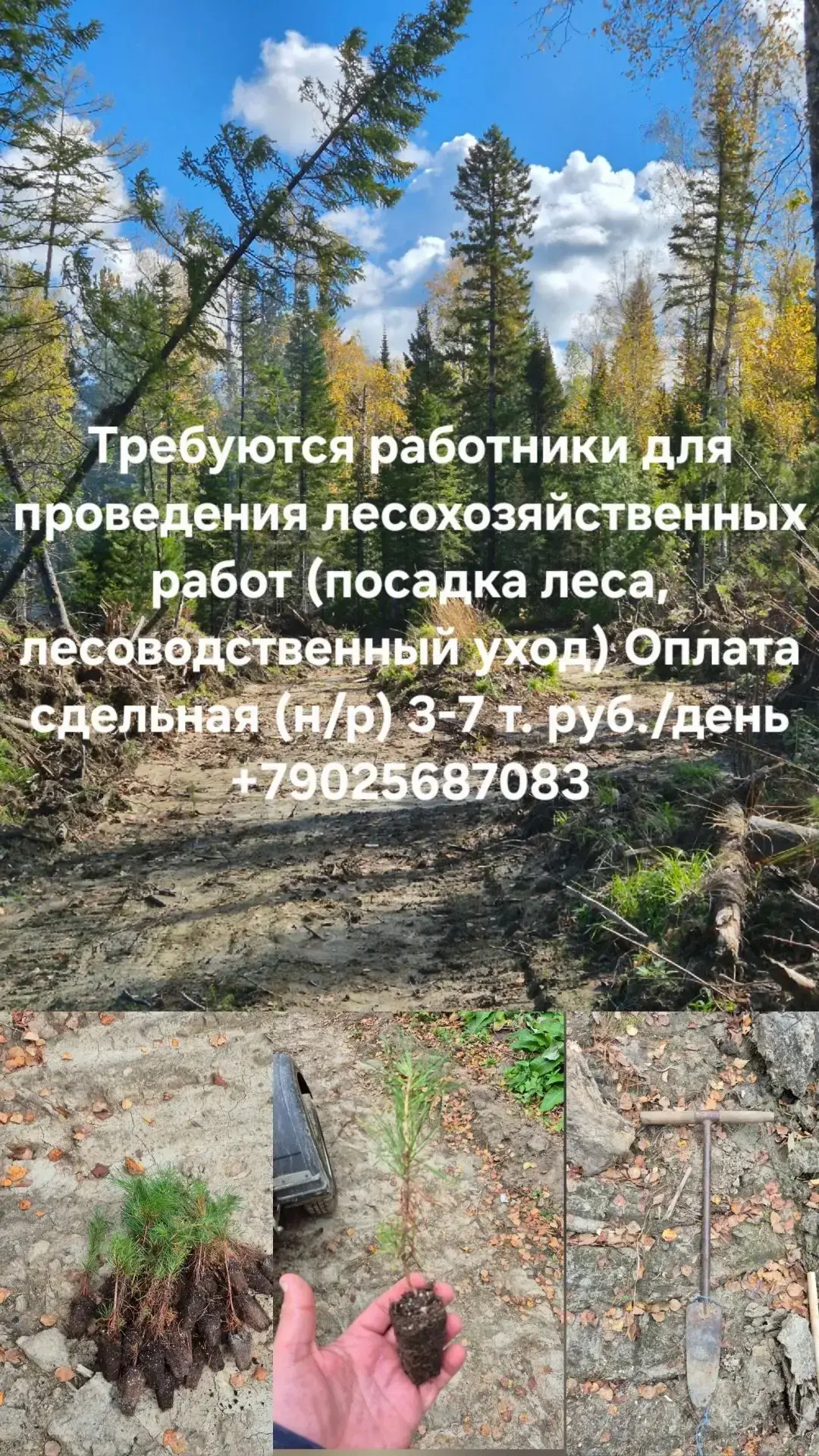 Друзья!