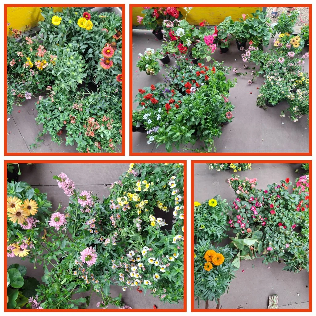 Огромная благодарность 🌷