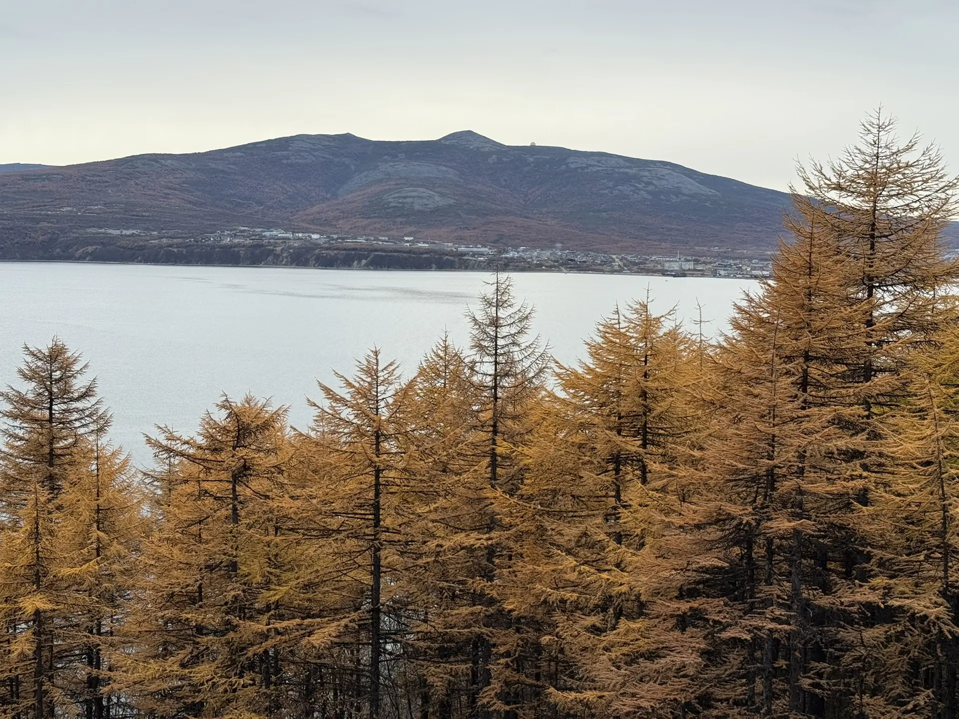 Присоединяемся к осеннему фоторепортажу члена Общественного совета при УМВД России по М...