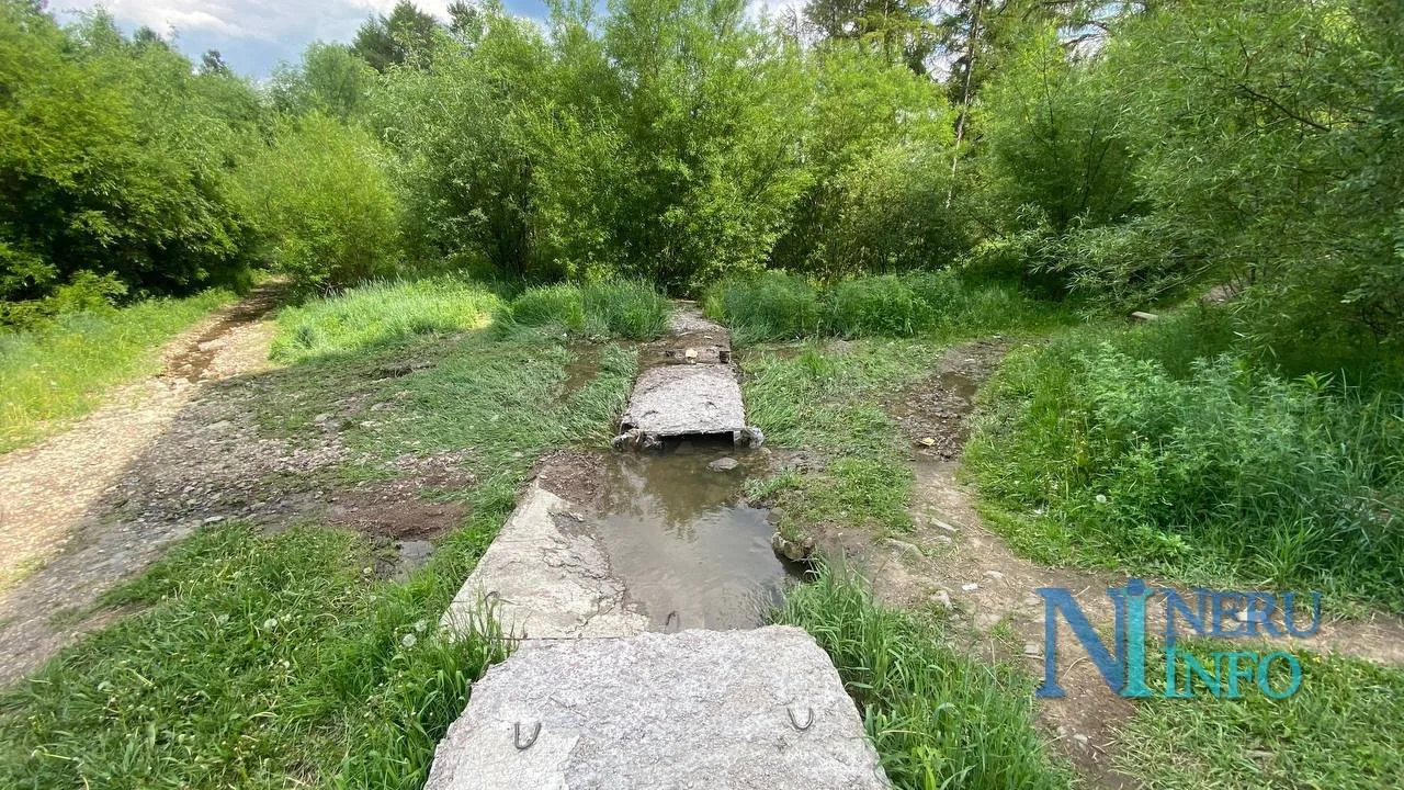 Подписчики пишут: