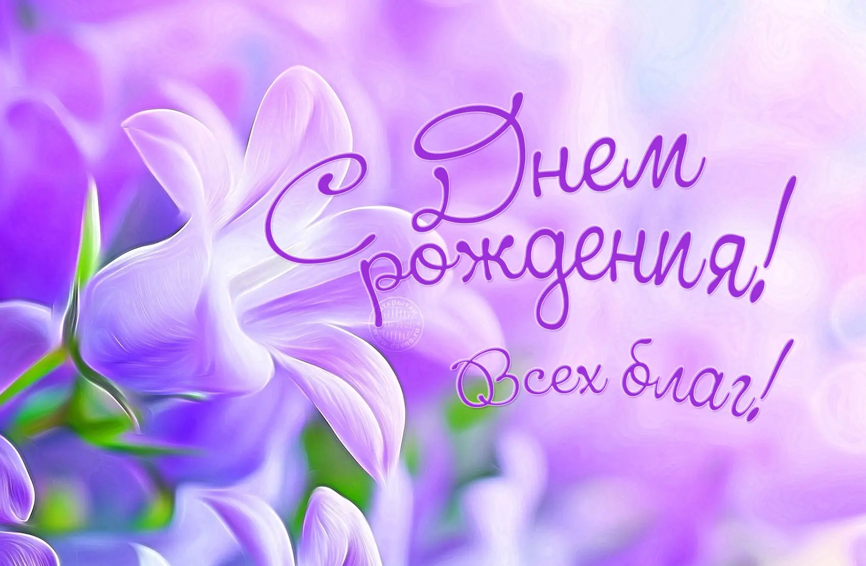 🚀 Новый год жизни — новые вершины!