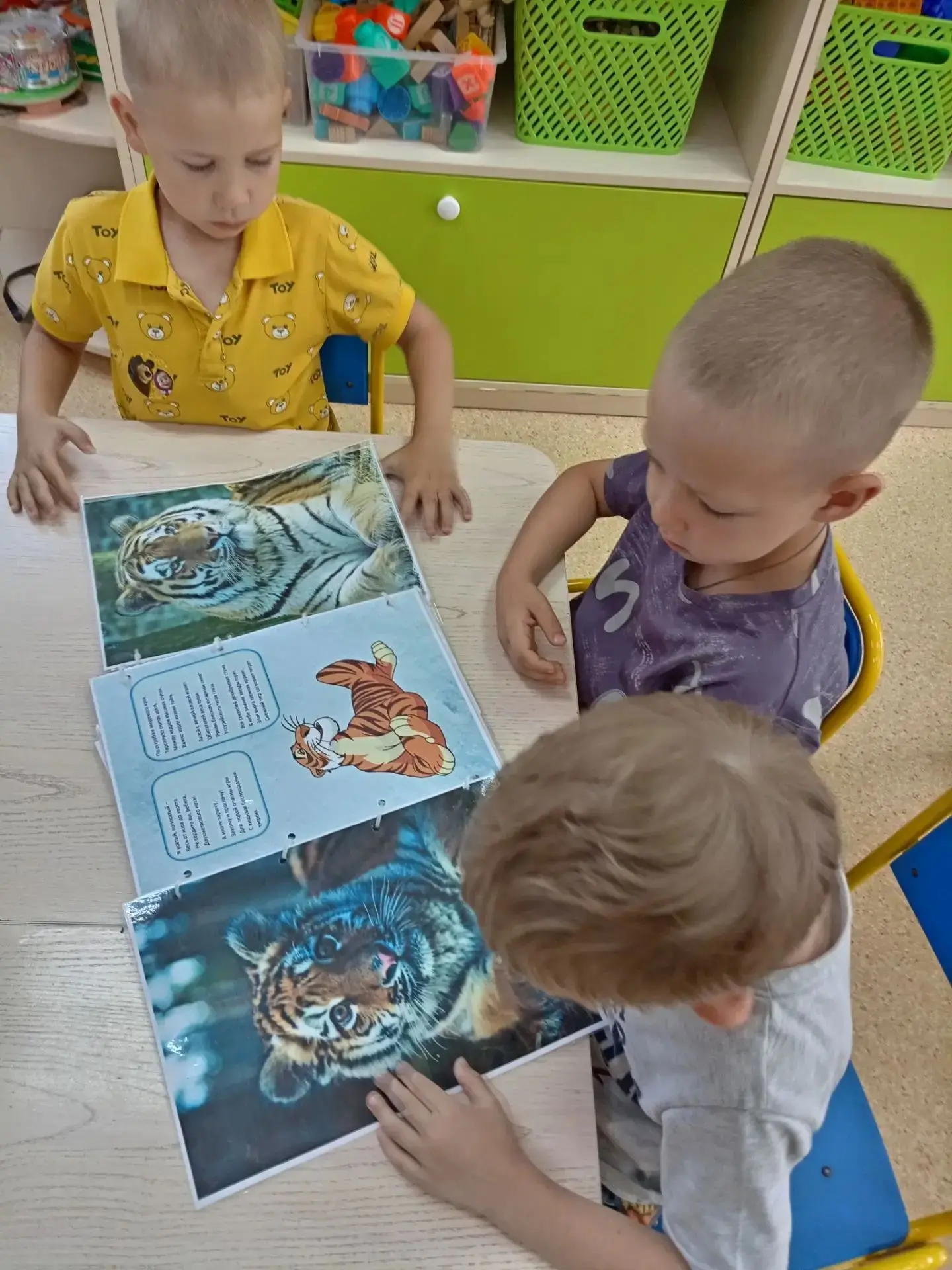 В группе № 3 "Радуга" сегодня тоже прошёл день тигра. Ребята рассматривали книги, слушали рассказы и