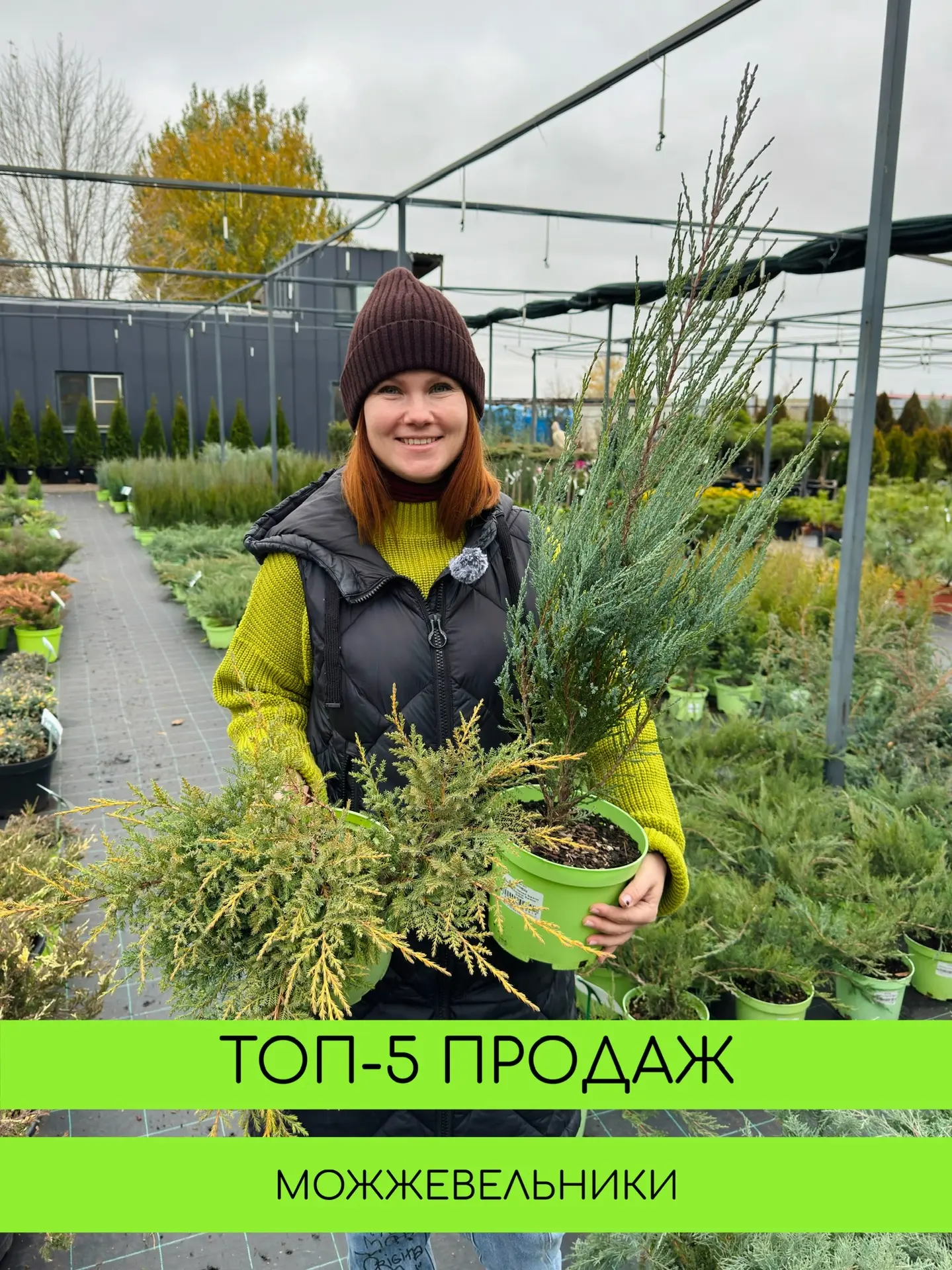 Самые популярные сорта  Со скидкой 25% много сортов! И интересные и новые и самые топовые!   Вот про