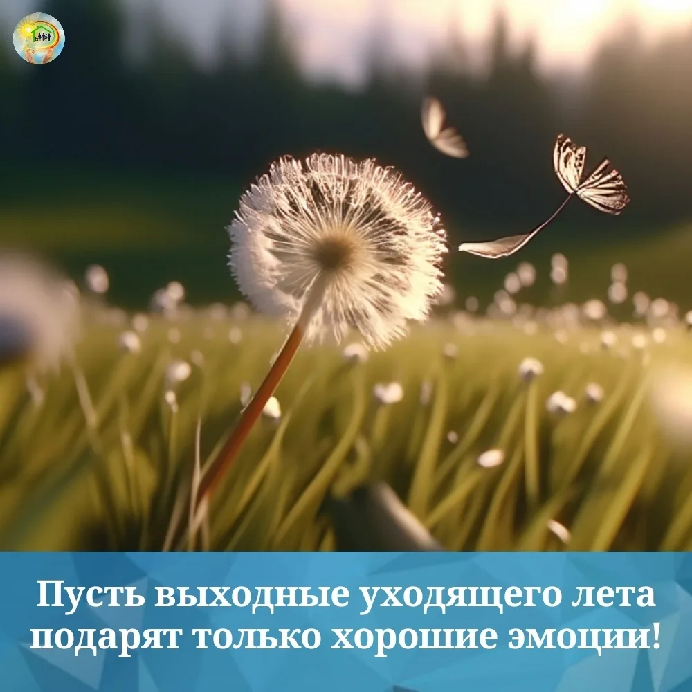 Друзья, вот и закончился ещё один рабочий день, впереди — выходные уходящего лета. ☀️