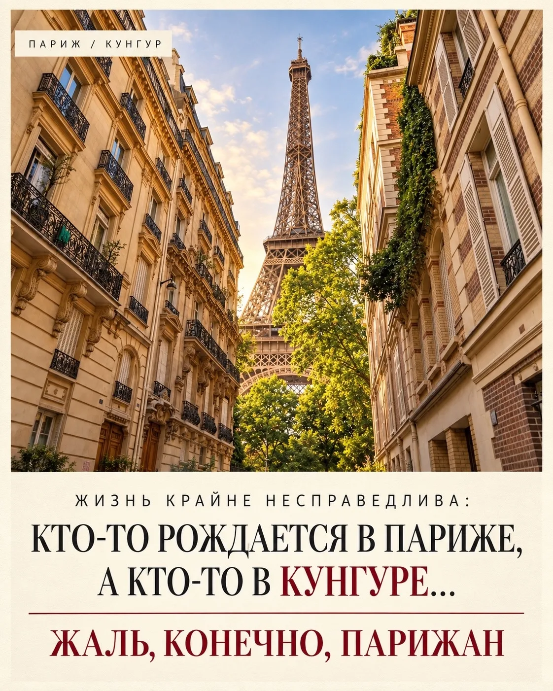 Жаль их
