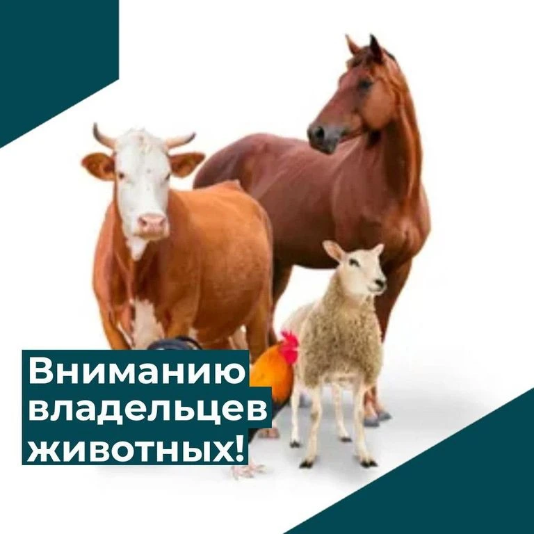 С 1 марта 2024 года на территории Российской Федерации введена обязательная маркировка ...
