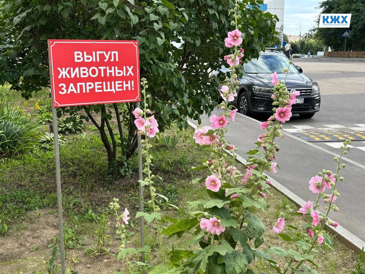Такие таблички
 
👍 – одобряю
👎 – не одобряю
🤔 – нужны другие