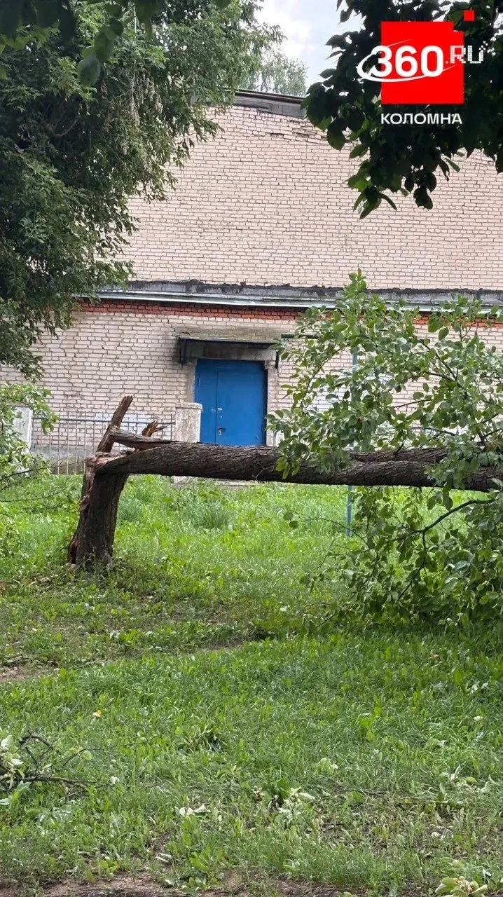 Во дворе домов №2 и №4 на улице Суворова упало дерево на припаркованные автомобили❗

Напоминаем, что