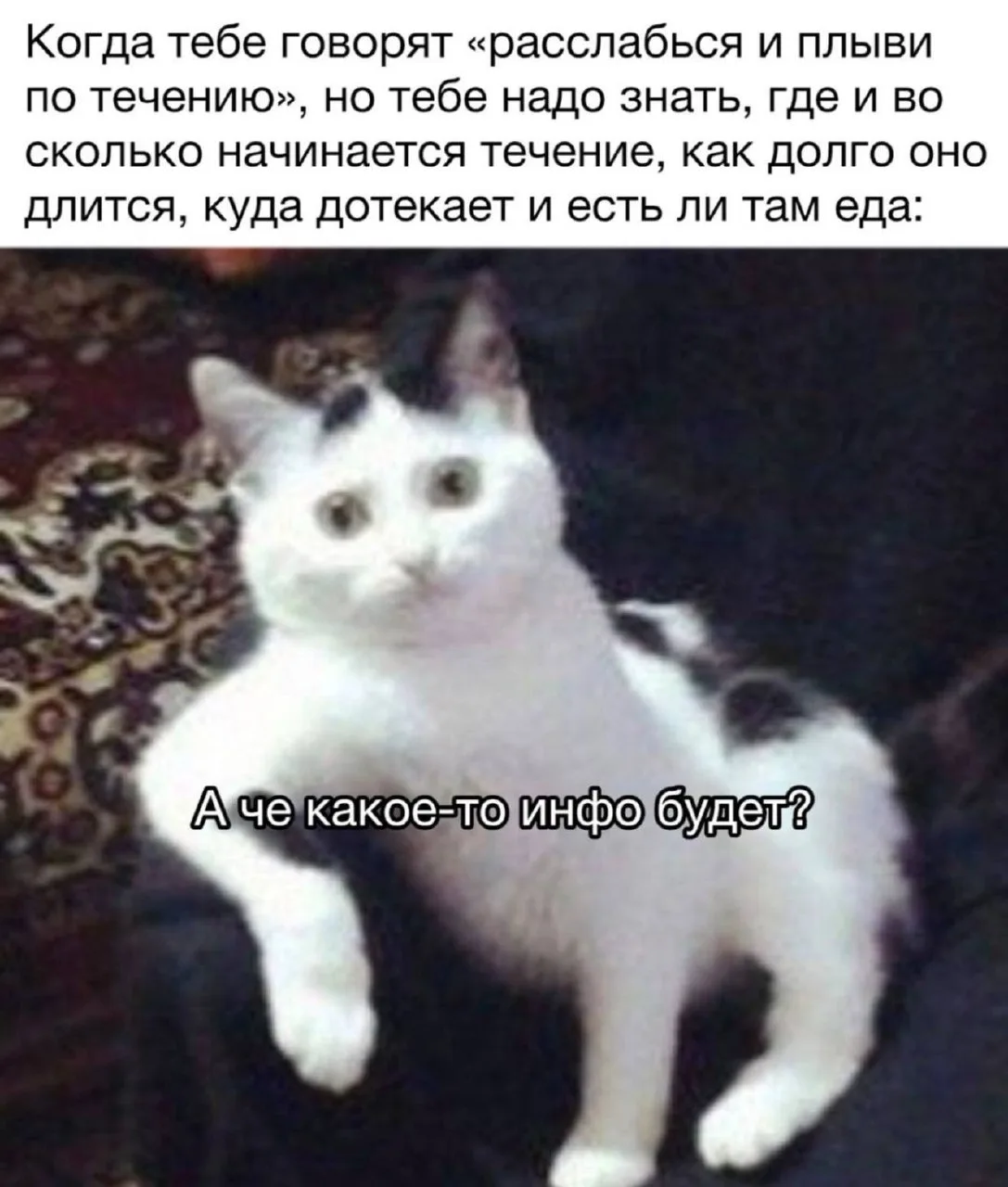 Мемы в MAX