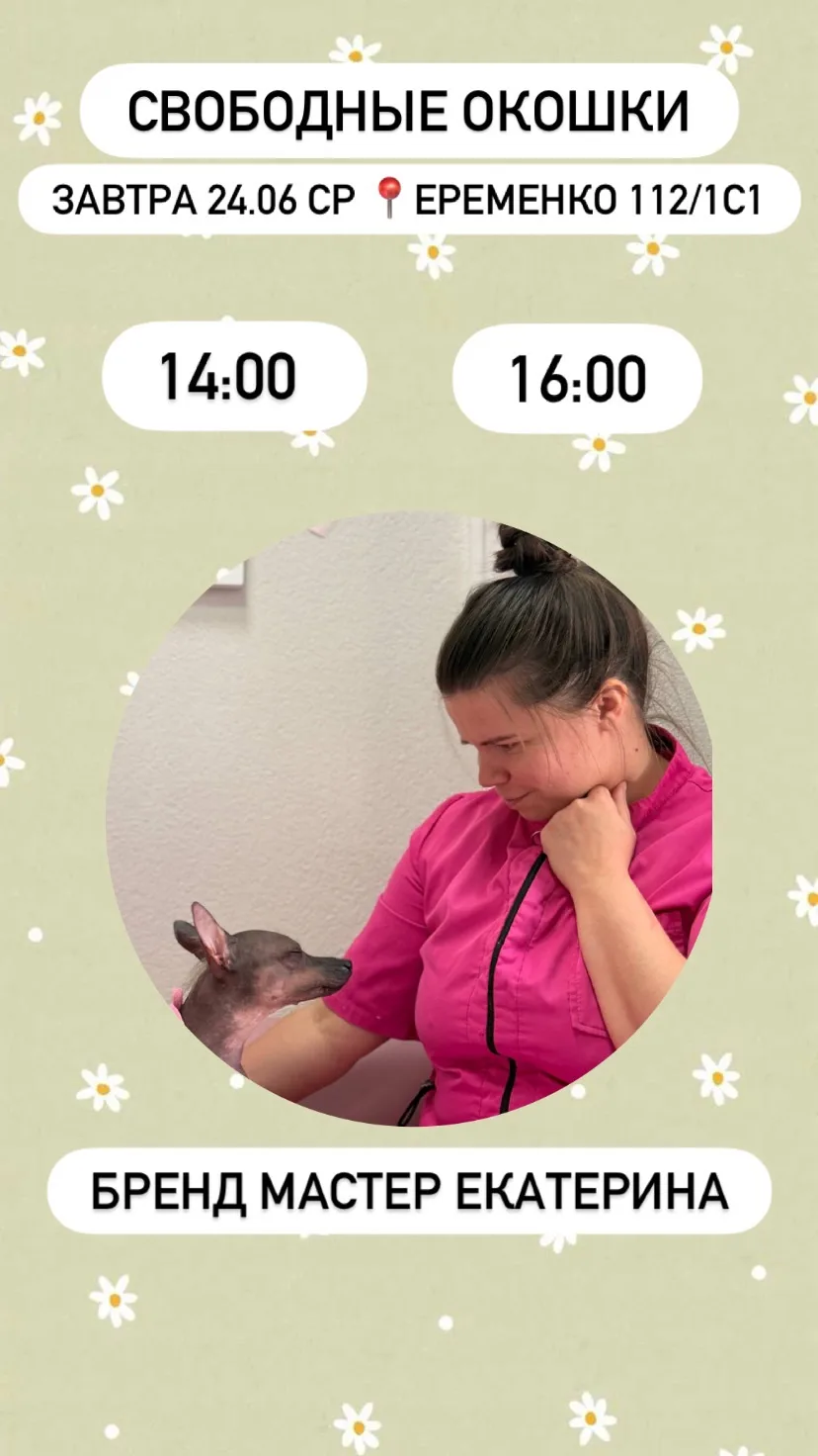 Свободные окошки на завтра 24 июня 🐾

Онлайн запись ❤️ https://dikidi.net/g416762
