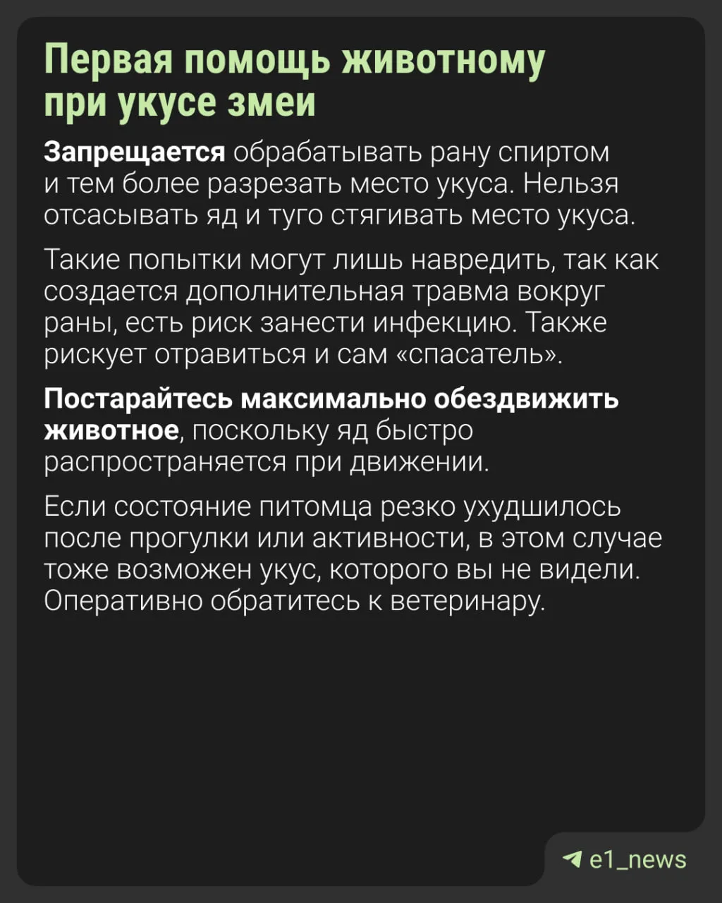 Что делать, если укусила змея?  С наступлением тепла многие выбираются на природу, где могут поджида