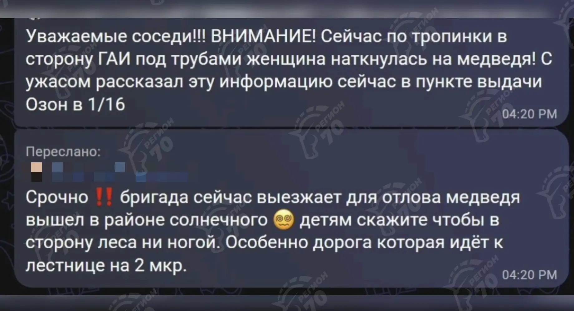 😱 В Солнечном и Зелёных горках снова «ходит» медведь: что известно