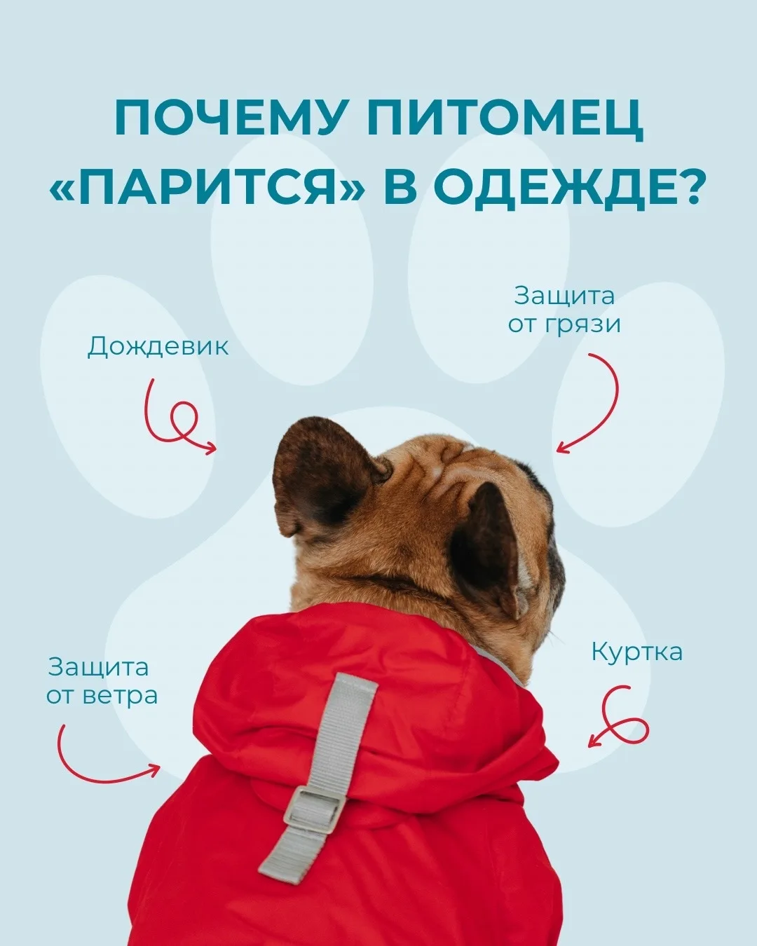 Мы делаем изделия для питомцев из качественных материалов, чтобы каждый хвостик чувство...