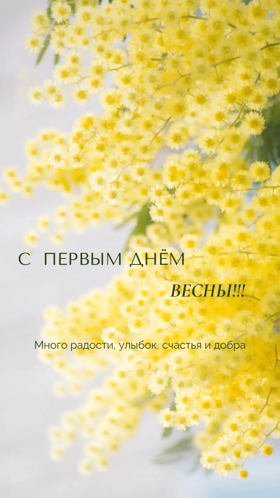 С первым днём весны!😊