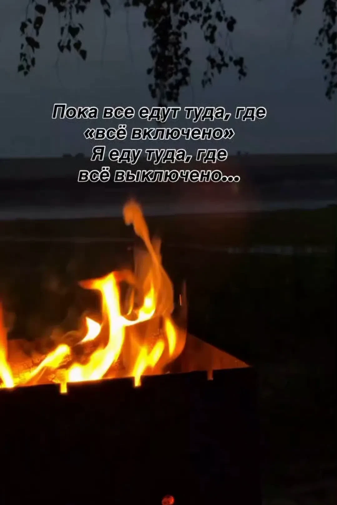 Такая осень на дворе,