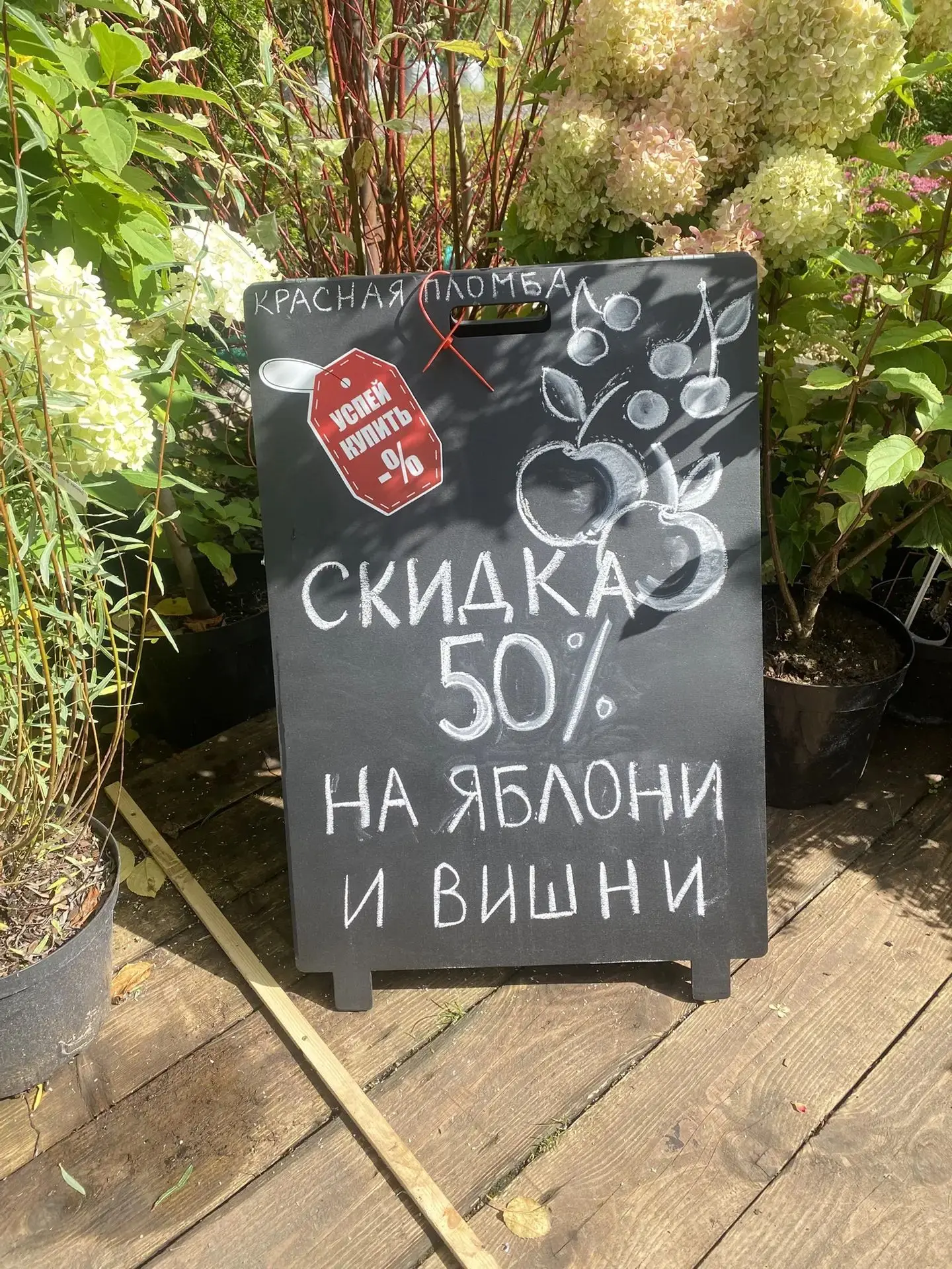 🧒 А У НАС ДЛЯ ВАС ЕЩЕ ОДНА АКЦИЯ: